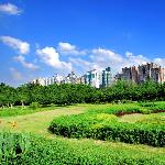 蓝天白云的广州------罕见图片 自然风光 风景图片