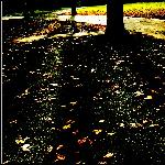 秋日斜阳图片 自然风光 风景图片