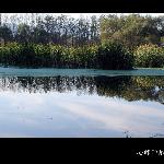 湿地掠影图片 自然风光 风景图片