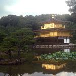 京都,大阪之旅图片 自然风光 风景图片