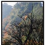 东拉山红叶图片 自然风光 风景图片