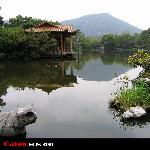 杨公堤◆踏秋图片 自然风光 风景图片