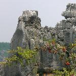 我的云南之行四-石林图片 自然风光 风景图片