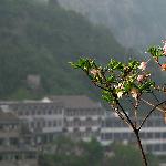 武当山（G随拍）--旅游随拍/图片 自然风光 风景图片