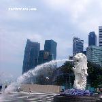 新加坡的标志——鱼尾狮图片 自然风光 风景图片