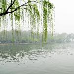 杭州太子湾之春图片 自然风光 风景图片