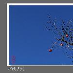 龙游采风---篇图片 自然风光 风景图片