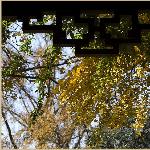妙曼秋韵之二图片 自然风光 风景图片