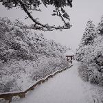 峨眉山雪图片 自然风光 风景图片