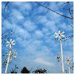 长沙富人区的天也蓝图片 自然风光 风景图片
