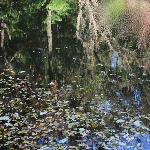 秋之斑斓图片 自然风光 风景图片