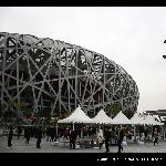 阴天的鸟巢图片 自然风光 风景图片