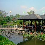 花都景色图片 自然风光 风景图片