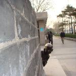 铜趣图片 自然风光 风景图片