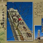 广州岭南印象园图片 自然风光 风景图片
