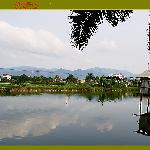 池塘边图片 自然风光 风景图片