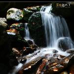 Great Smoky Mountain National Park_Water图片 自然风光 风景图片