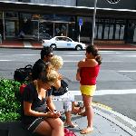 新西兰扫街景象图片 自然风光 风景图片