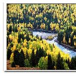 【秋之喀纳斯－禾木】图片 自然风光 风景图片