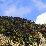 大香格里拉之行之白茫雪山秋色图片 自然风光 风景图片