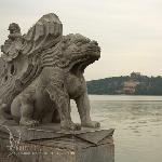 百年守侯图片 自然风光 风景图片
