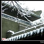 武大春雪印象图片 自然风光 风景图片