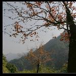 古道红枫图片 自然风光 风景图片
