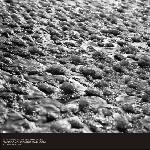 雪后的冬日图片 自然风光 风景图片