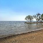 云南禄充抚仙湖图片 自然风光 风景图片