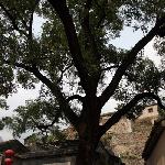 明清古居--爨底下图片 自然风光 风景图片