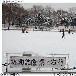 年的第一场雪比去年来的更晚了一些！（续）图片 自然风光 风景图片