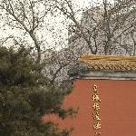 穿行于京城大小胡同间[皇城根遗址公园]图片 自然风光 风景图片