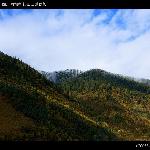 红原山地秋色图片 自然风光 风景图片