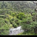 川西行－树木篇之二图片 自然风光 风景图片