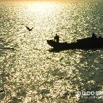 夕阳下的厦门图片 自然风光 风景图片