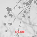 鸟林寻幽（踪）图片 自然风光 风景图片
