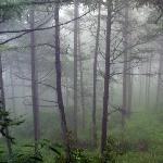 山区雨景图片 自然风光 风景图片