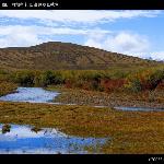 红原高原草原秋色图片 自然风光 风景图片