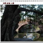 顺德.逢简.水乡.石桥图片 自然风光 风景图片