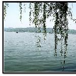 西湖景色二图片 自然风光 风景图片