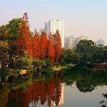晓港正红时图片 自然风光 风景图片