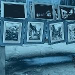 Alley thought图片 自然风光 风景图片
