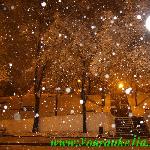 新年第一雪,犹如梦幻童话图片 自然风光 风景图片