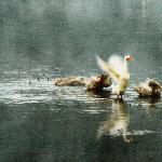 dream #图片 自然风光 风景图片