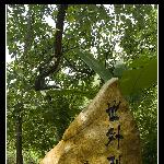 大理洱源县--世外梨园图片 自然风光 风景图片