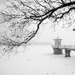 《黑白片》 净月之冬图片 自然风光 风景图片