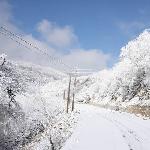 踏雪寻梅-通往雪山路图片 自然风光 风景图片