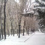哈尔滨的雪。图片 自然风光 风景图片