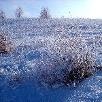 冰雪雾凇塞罕坝（二）图片 自然风光 风景图片