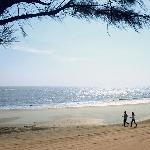 阳光下的吉兆湾图片 自然风光 风景图片